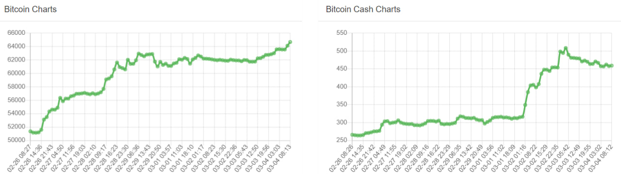 تحلیل قیمت بیت کوین (BTC)؛ پرواز قیمت – ۱۴ اسفند (۴ مارس)